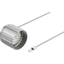CAMF-B-M25-G4 plug